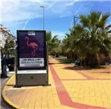 AY 5 - URB. PUNTA DEL MORAL: AVENIDA DE LA MOJARRA, Nº 2